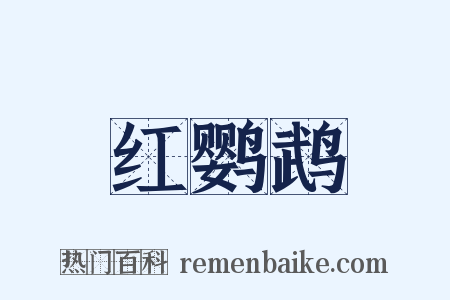 红鹦鹉是什么意思的图片